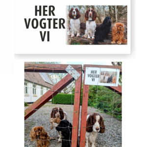 Skilt med dit eget billede