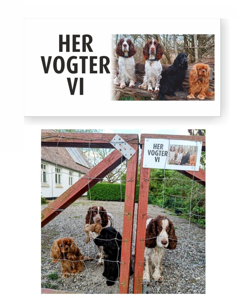 Skilt med dit eget billede