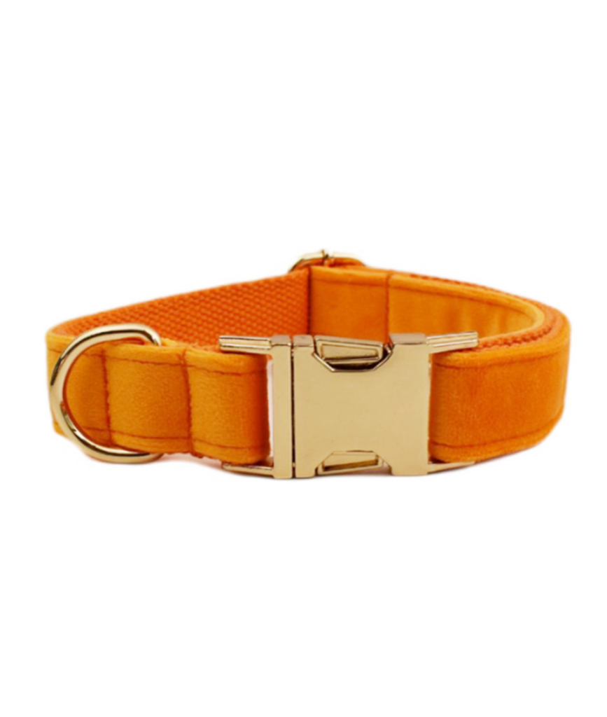 Halsbånd med gravering - Velour