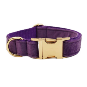 Halsbånd med gravering - Velour