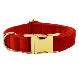 Halsbånd med gravering - Velour