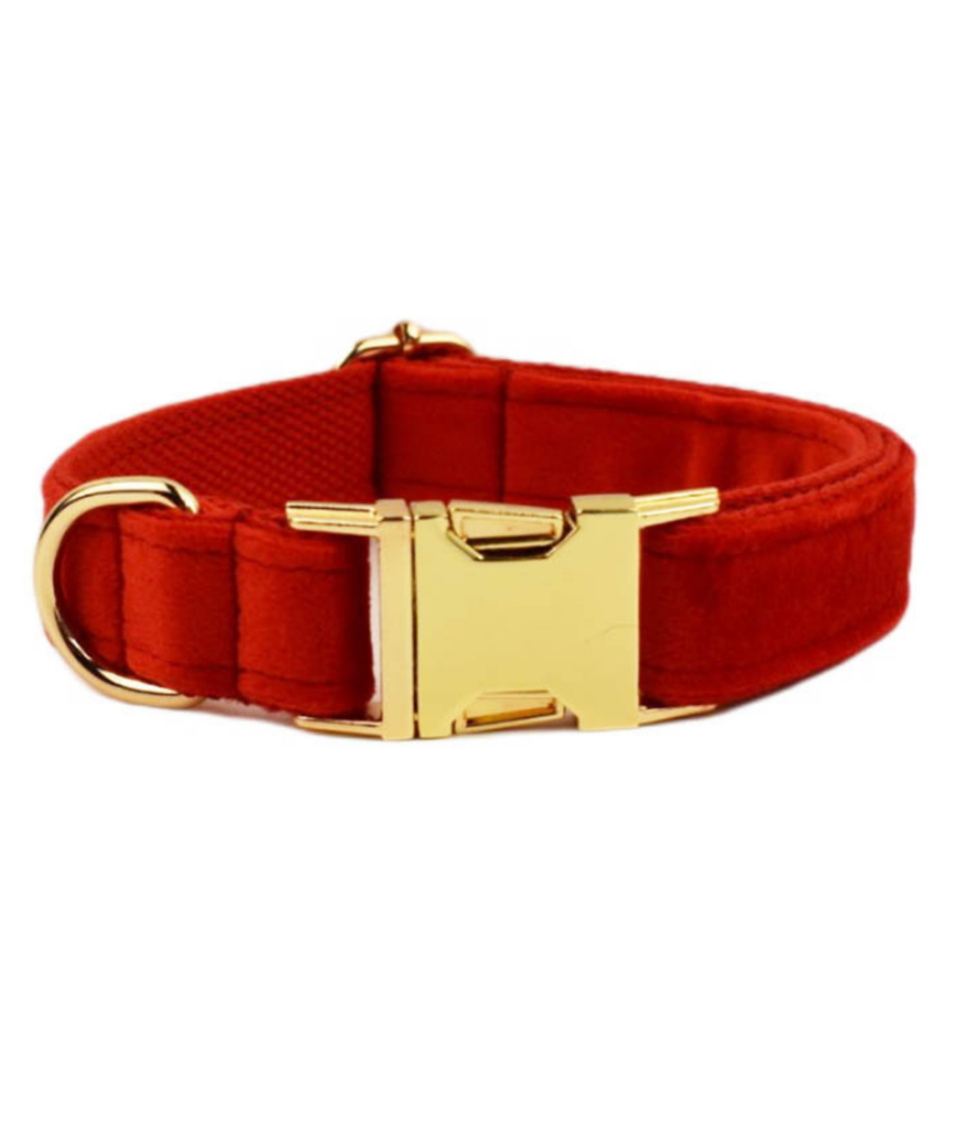 Halsbånd med gravering - Velour