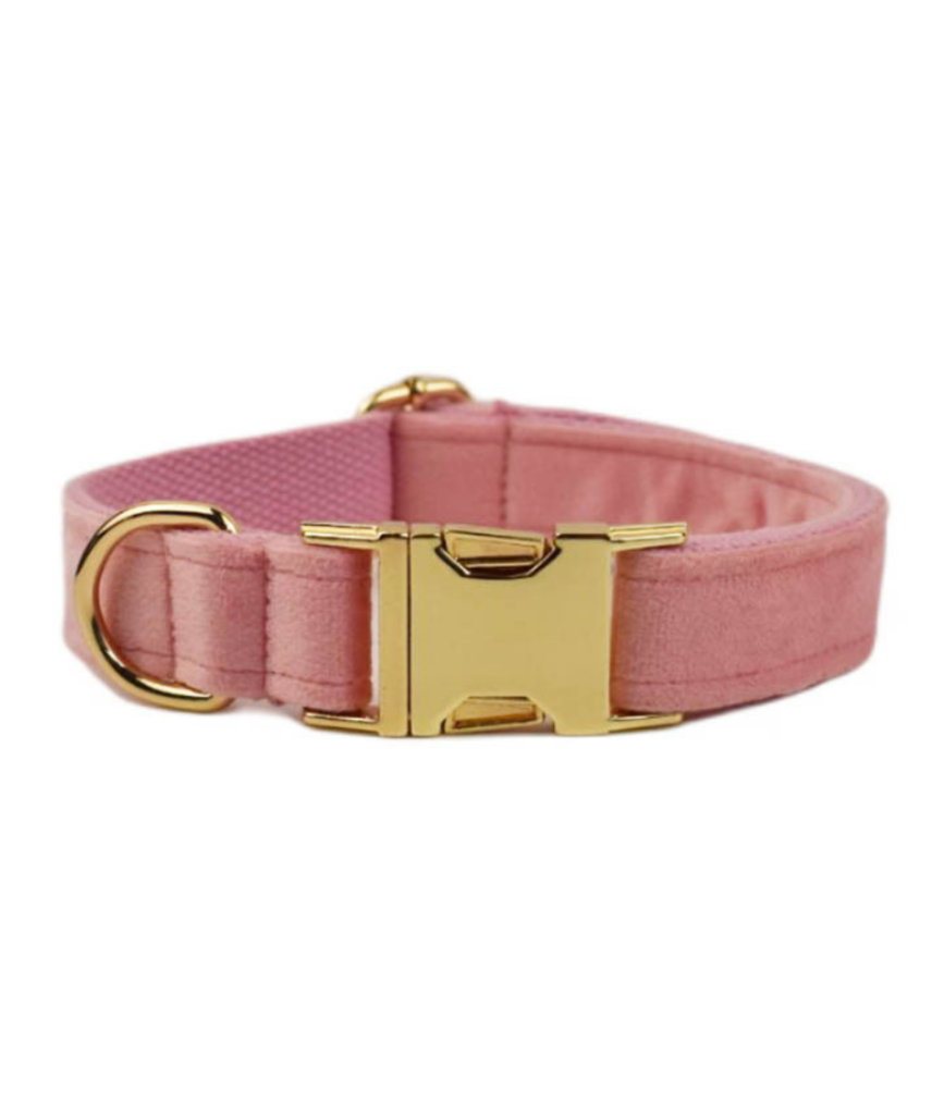 Halsbånd med gravering - Velour