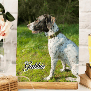 Fotoplade med træholder og med DIT EGET billede