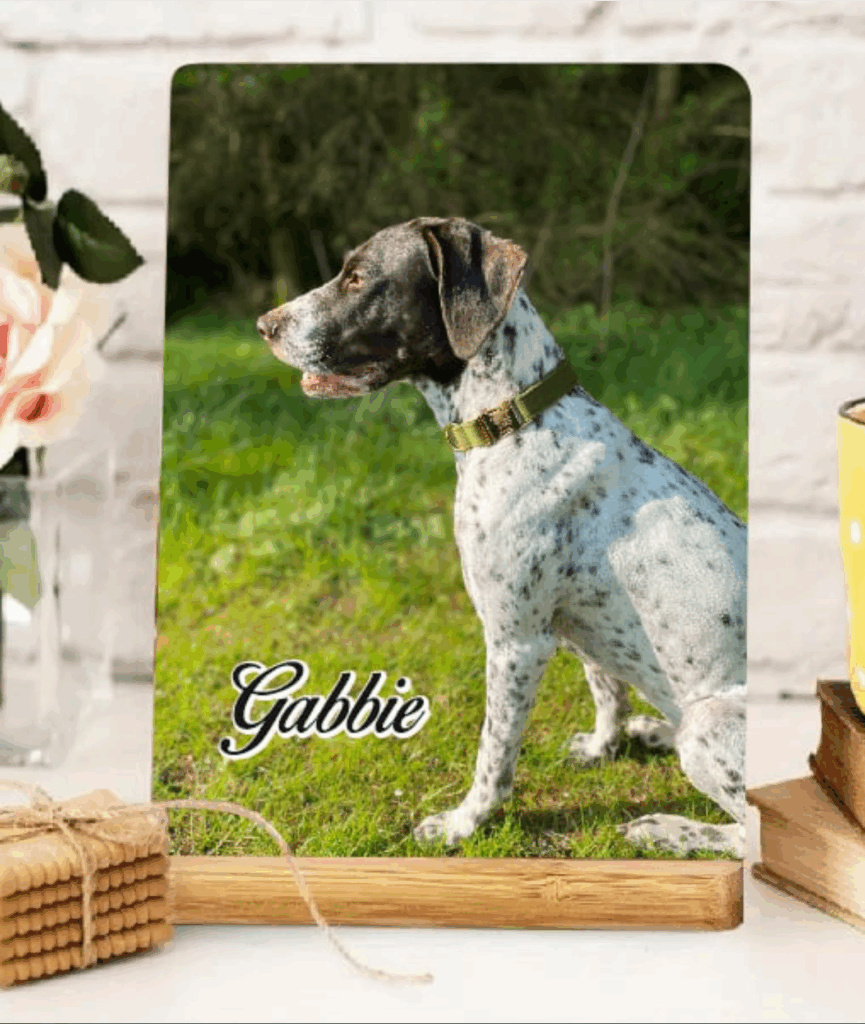 Fotoplade med træholder og med DIT EGET billede