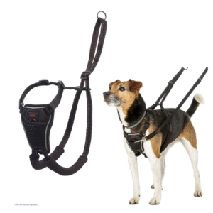 Halti No Pull hundesele