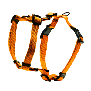 Dogman Iris H-sele - Orange