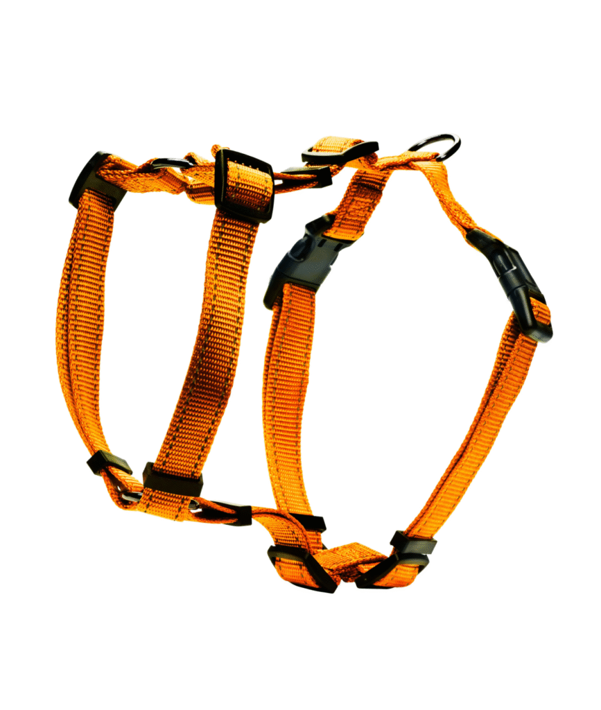 Dogman Iris H-sele - Orange