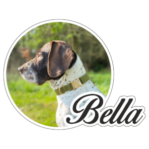 Klistermærke med DIT EGET billede