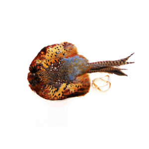 Fasan skind til dummy.