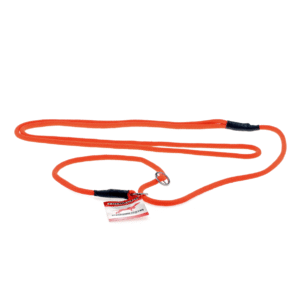 Prof-Dog retrieverline - Orange