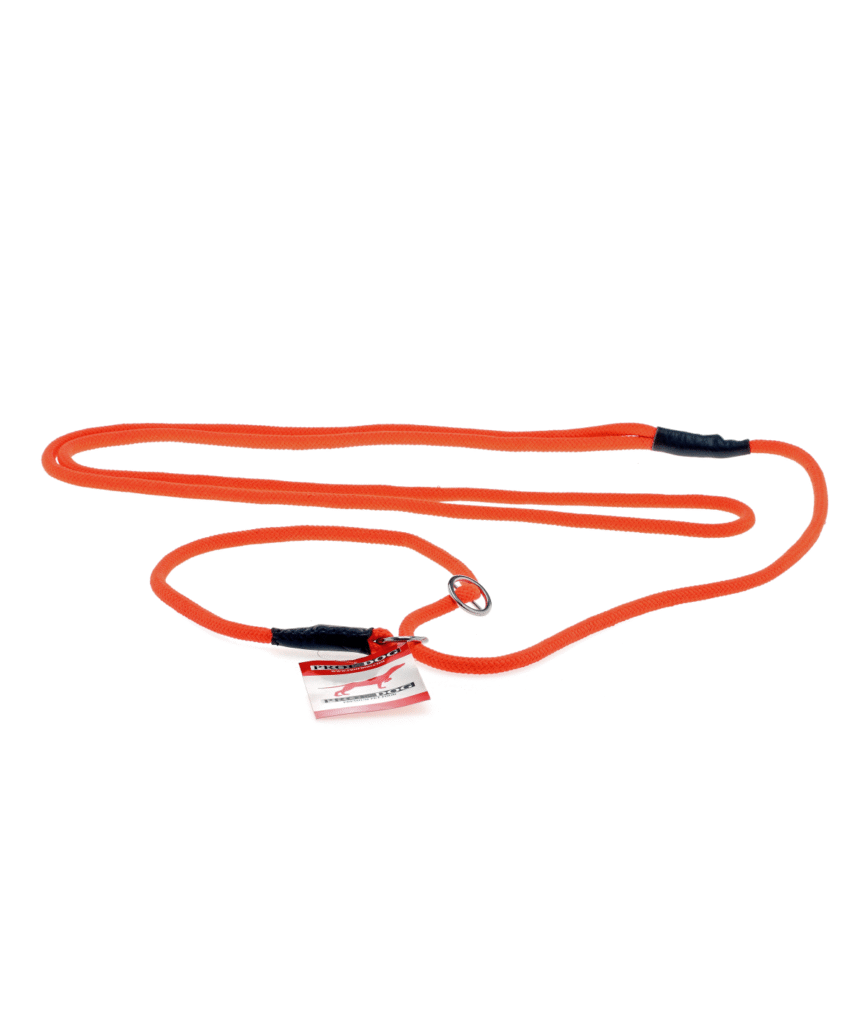 Prof-Dog retrieverline - Orange