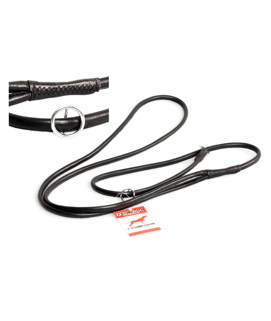 Prof-dog rundsyet retriver line sort