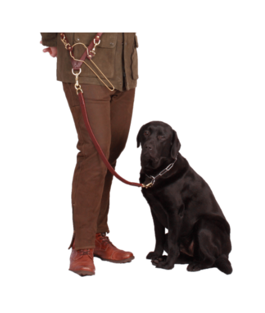 Dressur jagtline med fuglegalge