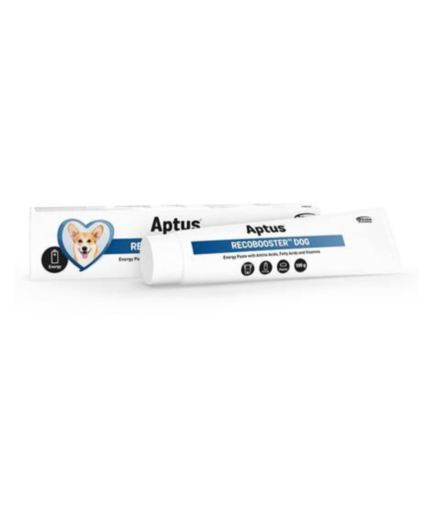 Aptus Recobooster ™️Hund