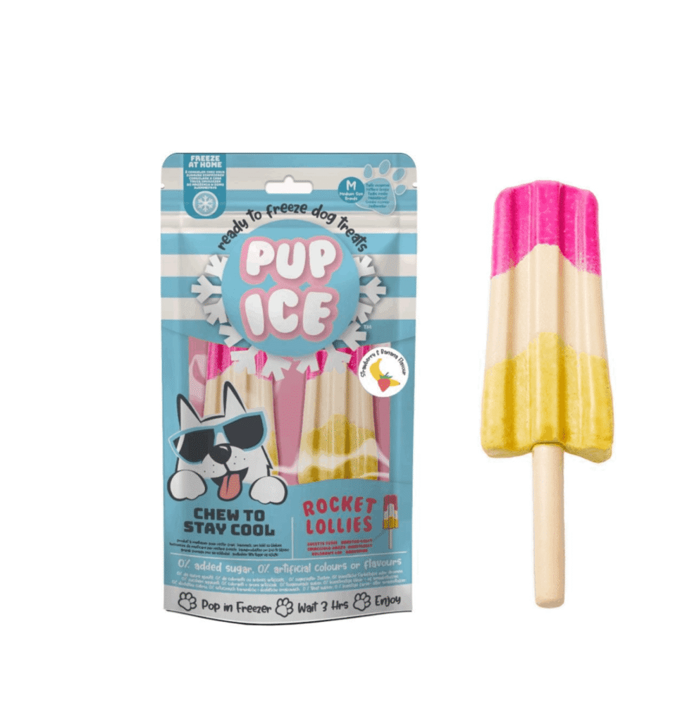 Pup-ice_raket2
