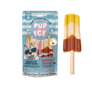 Pup-ice_raketis