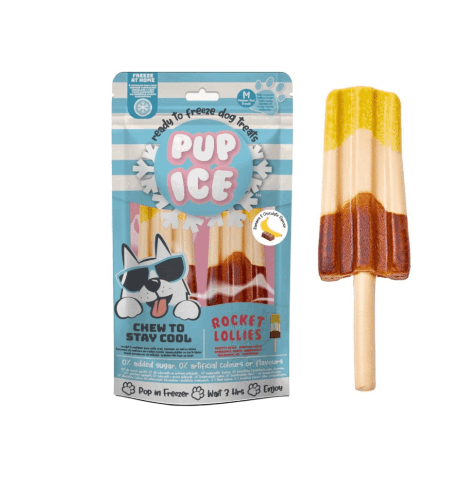 Pup-ice_raketis