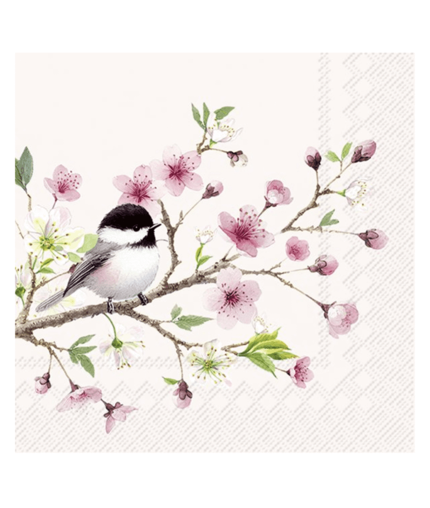 IHR Little Birdie frokostservietter med fuglemotiv
