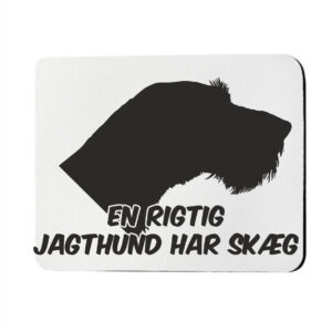 Musemåtte med Tysk Ruhåret Hønsehund