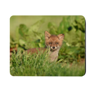 Musemåtte/Underlag med DIT eget print