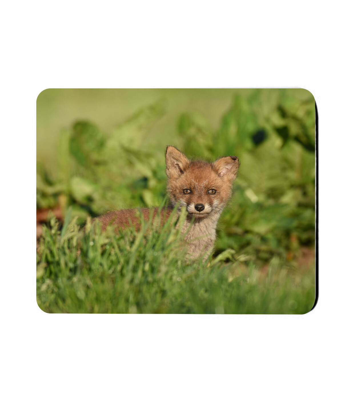 Musemåtte/Underlag med DIT eget print