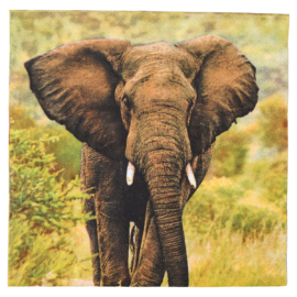 Servietter med Elefant