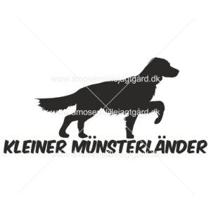 Foliemærke - Kleiner Münsterländer
