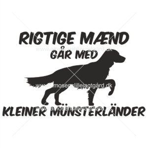Foliemærke - Kleiner Münsterländer