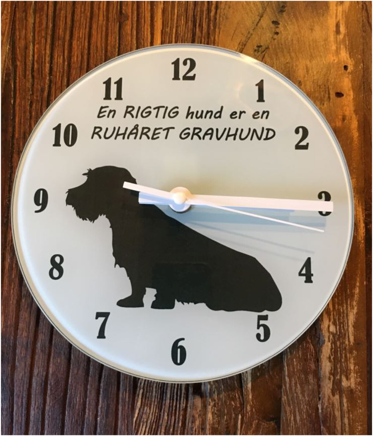 Ur med Ruhåret Gravhund