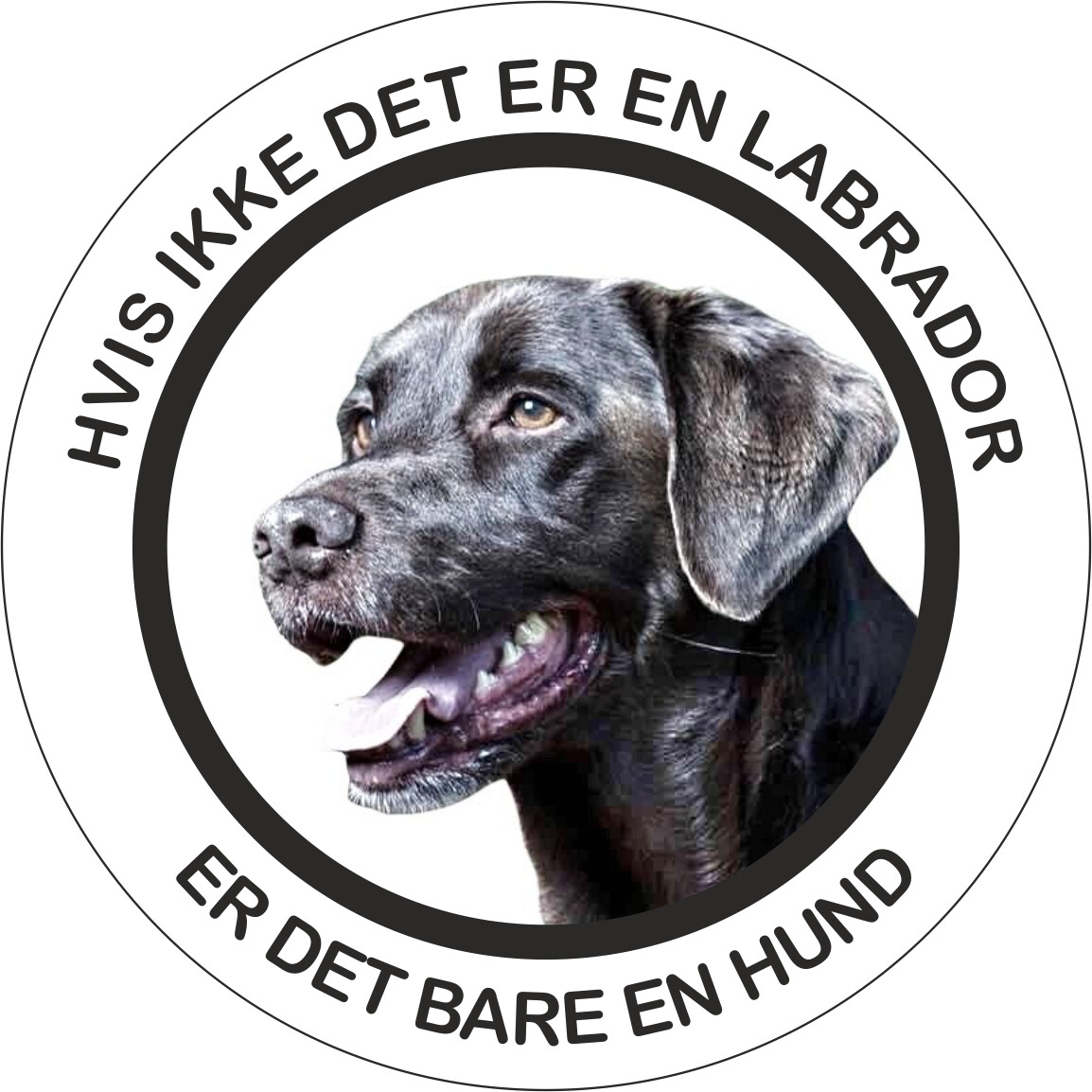 Klistermærke - Labrador - Brun