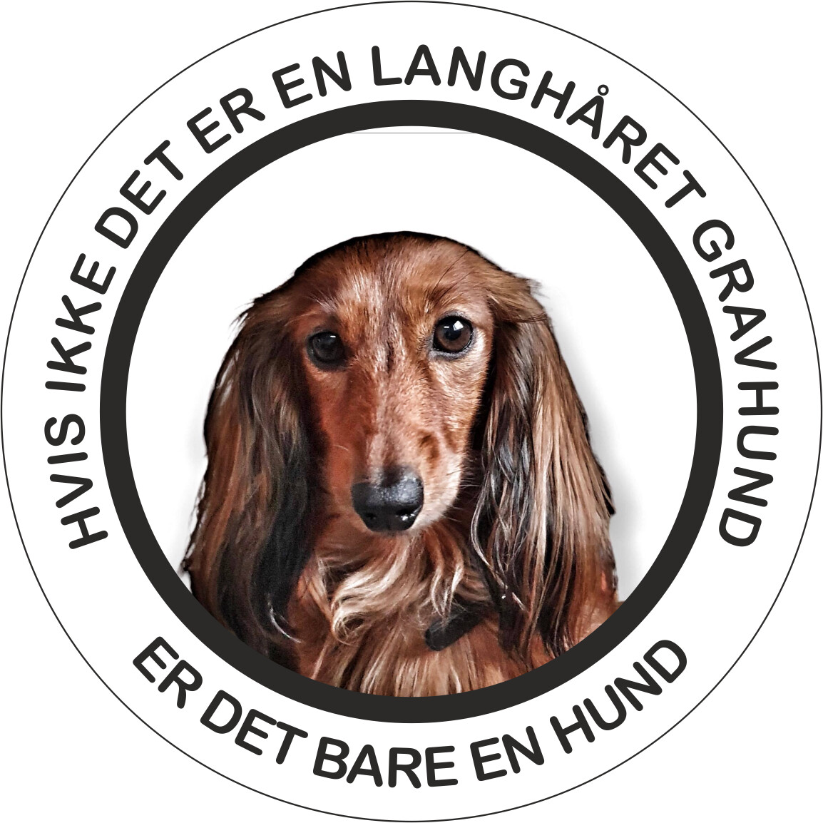 Klistermærke - Langhåret gravhund