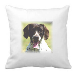 Pudebetræk eller pude med DIT eget tryk - Motiv