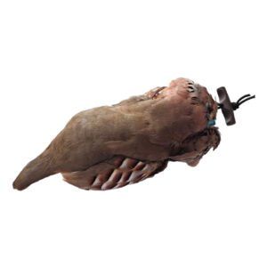 Firedog dummy med agerhøneskind - 150 gr.