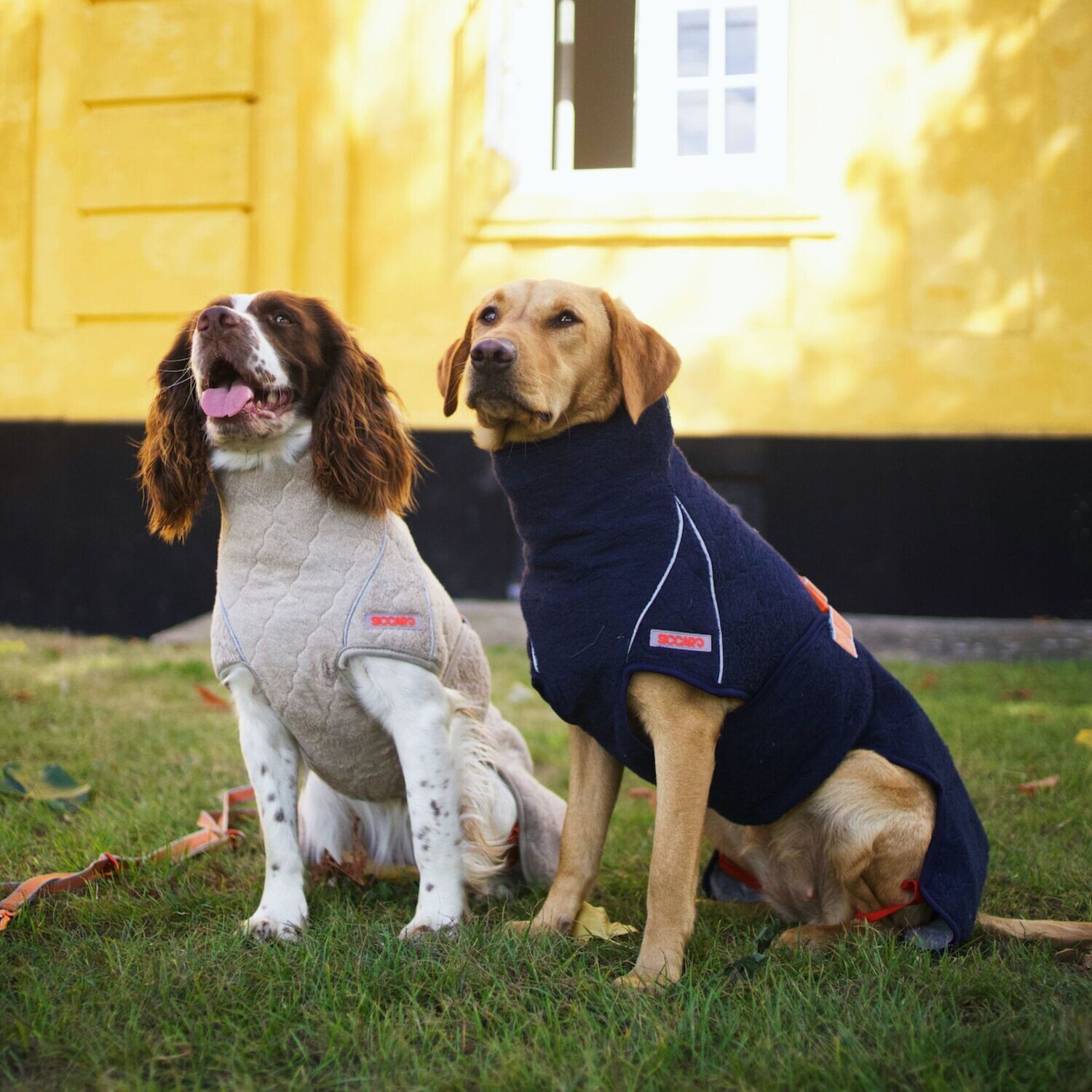 Siccaro Supreme 2.0 hundekåbe - GRANIT