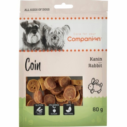 Companion coin med kanin