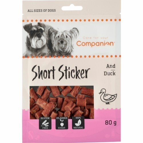 Companion Short Sticker med and