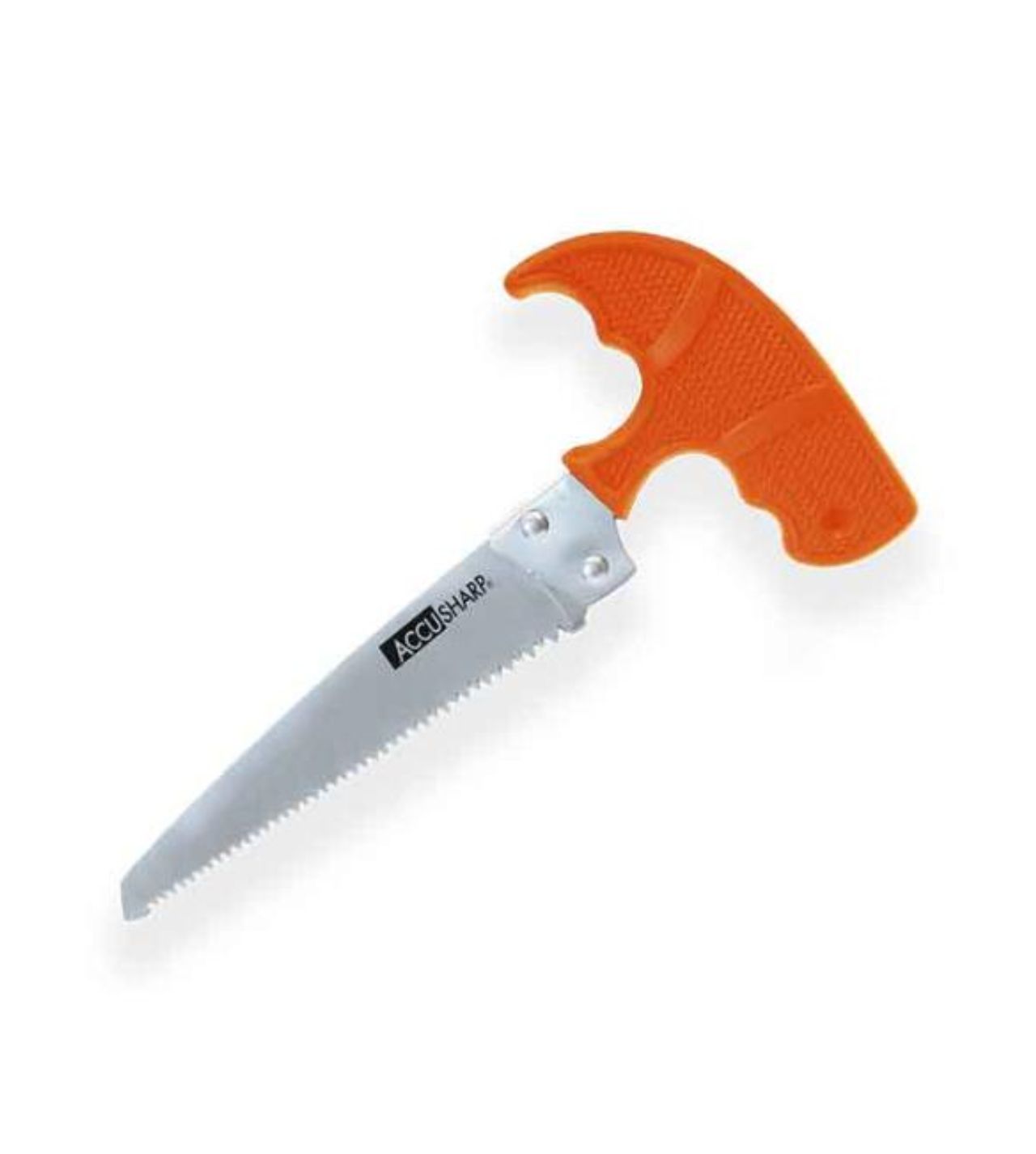 AccuSharp bone saw 6"