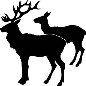 Foliemærke - Krondyr par