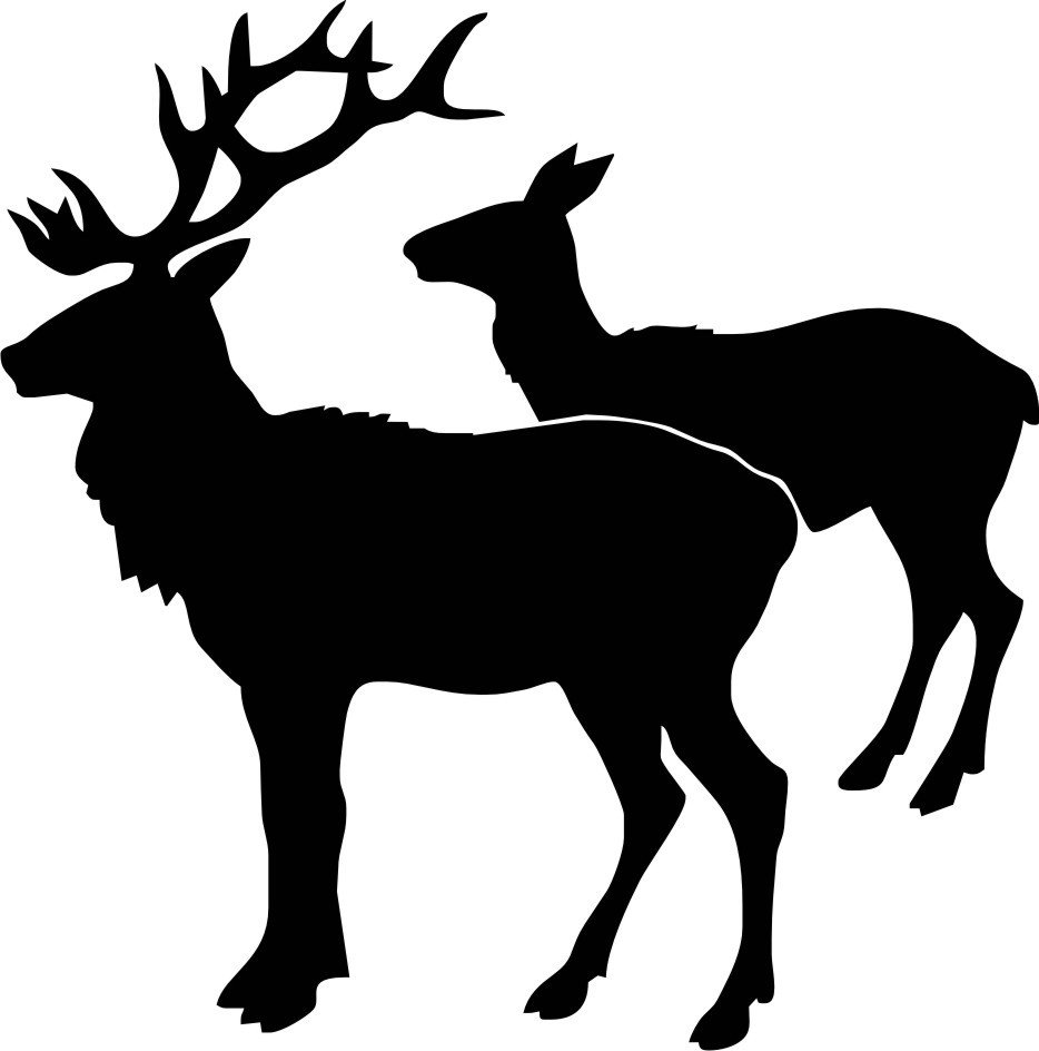 Foliemærke - Krondyr par