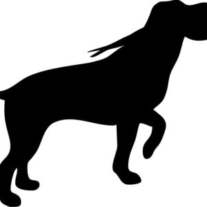 Foliemærke - Labrador med fasan i mund