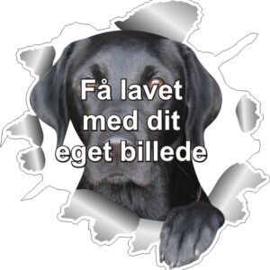 Klistermærke med DIT eget billede