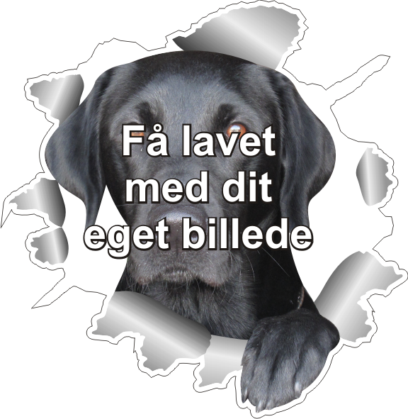 Klistermærke med DIT eget billede