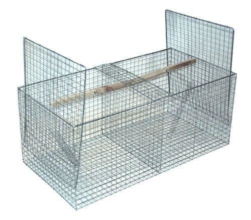 Skade-/kragefælde med 2 rum