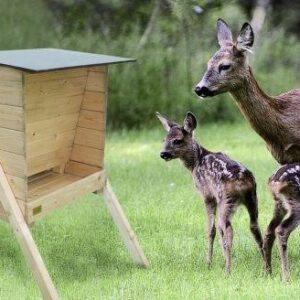 Foderautomat til råvildt