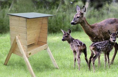 Foderautomat til råvildt