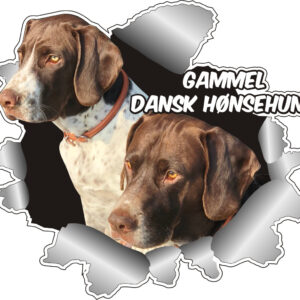 Klistermærke - Gammel Dansk Hønsehund