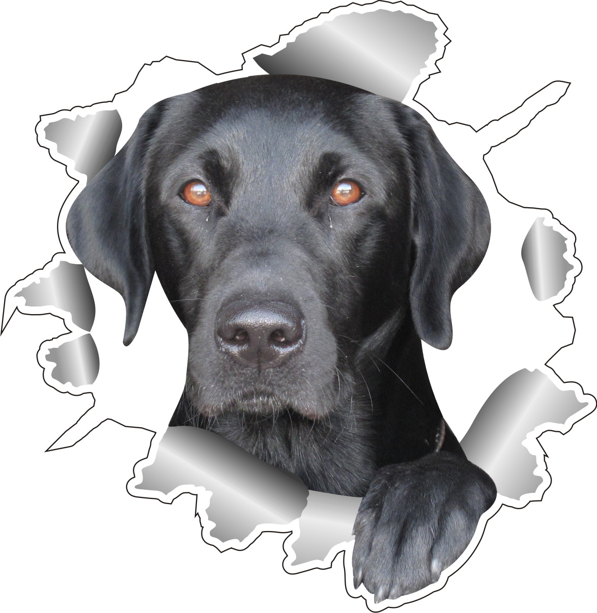 Klistermærke - Labrador