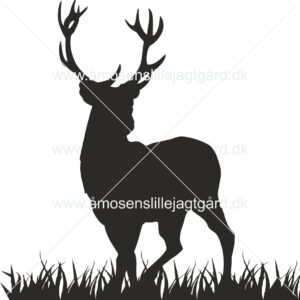 Folie-/Strygemærke - Hjort på græs