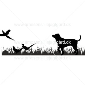 Folie-/Strygemærke - Labrador med fasaner